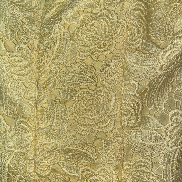 BB Dakota Crochet Overlay Dress - Picture 6 of 6